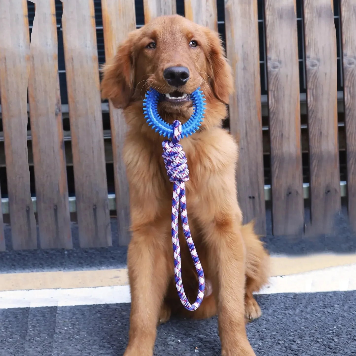 Durable Nylon Rope Dog Chew Toys Colorful Woven Knot Rubber
